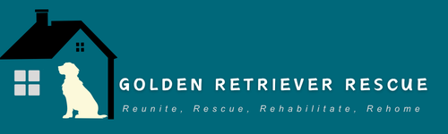 Golden Retriever Rescue UK