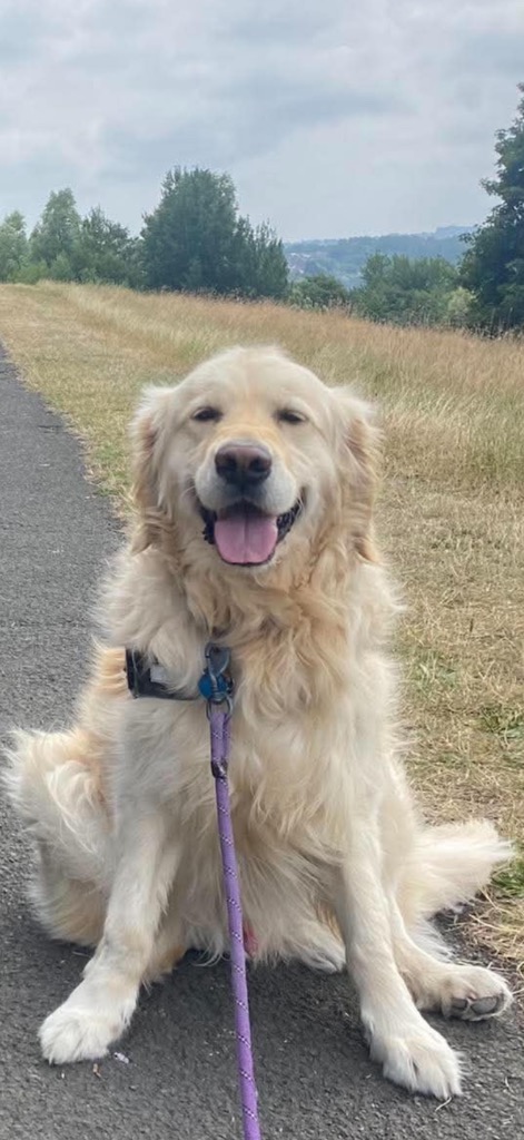 Wilson, adopted