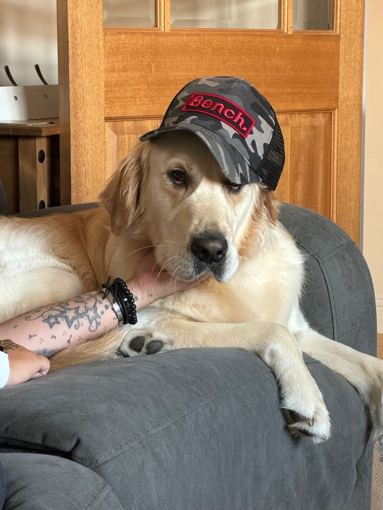 Charlie, adopted