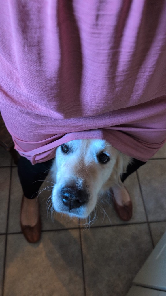 Sid, adopted