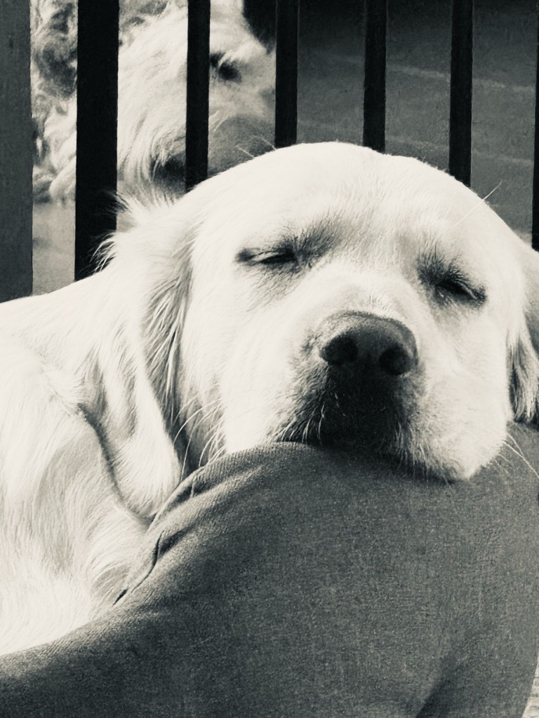 Flora, adopted