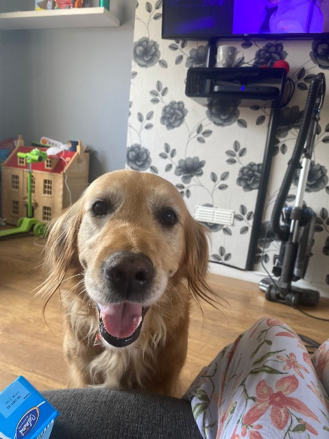 Phoebe, adopted