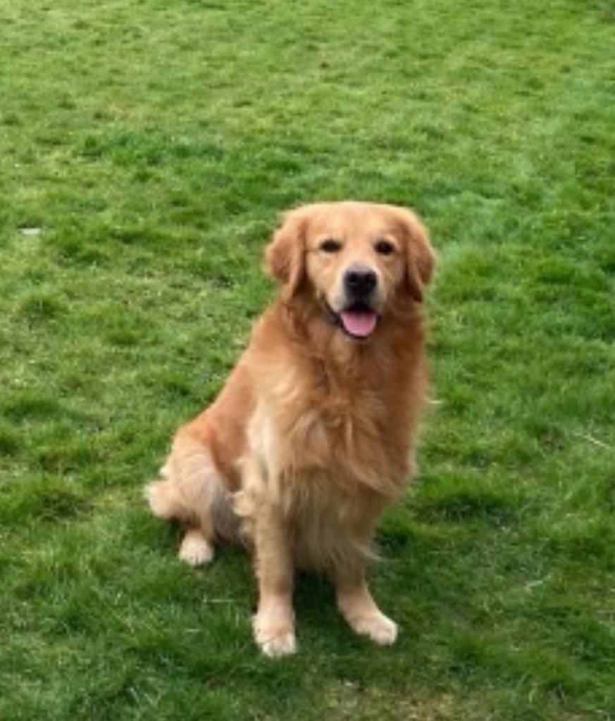 Wilson, adopted